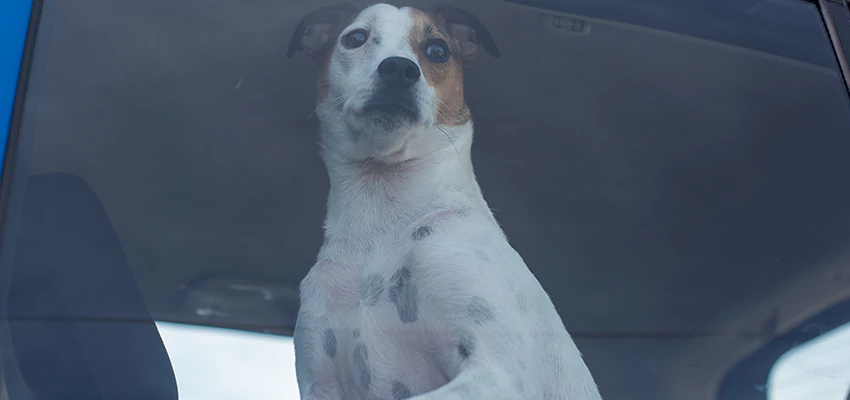 Car Lockout Solutions in Garden Acres, California